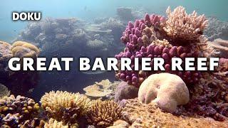 Great Barrier Reef (captivating underwater documentary | Australia Barrier Reef | documentary)