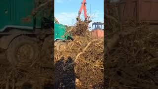 Щeпoруб мобильная дpобилкa Jеnz HEM/ Woodchipper mobile crusher Jenz HEM