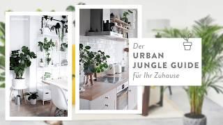 Kübelpflanzen: Der Urban Jungle Guide für Ihr Zuhause | Westwing Tipps & Guides