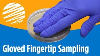 Gloved Fingertip Sampling Using Agar Plates