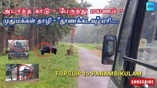 PART-2ஆக்ரோஷமான "மிருகங்கள்" வாழும் அடர்ந்த காடுகளின் வழியே பேருந்து பயணம் TOPSLIP to PARAMBIKULAM