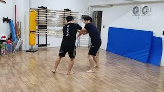 Playing with hapkido-Hankimuye