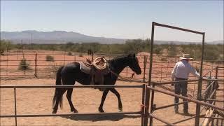 From the Archives - Riding with the Flag and Tarp