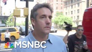 President Donald Trump Fixer Michael Cohen & The $10M Consulting Deal | All In | MSNBC