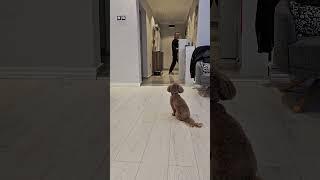 Evde ve Uzaktan eğitim ile Dünya'daki her eve giriyoruz. #shortsvideo #shortvideo #shorts #short
