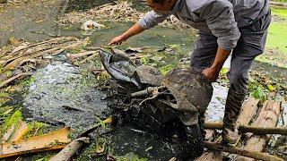 Restoration Motorcycle Buried in Mud | The Complete Process