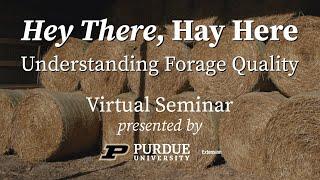 Hey There, Hay Here - Understanding Forage Quality (Virtual Seminar Recording)