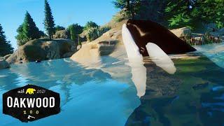 Real ORCA HABITAT In Planet Zoo! New Mod  | Planet Zoo Mod Zoo Speedbuild