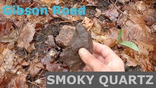 Searching For Elusive Smoky Quartz Crystals At The Gibson Road Occurrence (Persistence Pays Off)