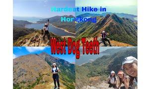 Hardest Hike in Hongkong (West Dog Teeth). My best hike so far.