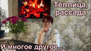 Разговоры в домашней обстановке: о главном и не только