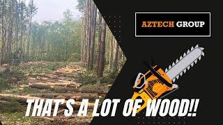 Aztech Group - Ep24: 1500 TONNES of softwood to be cut!!