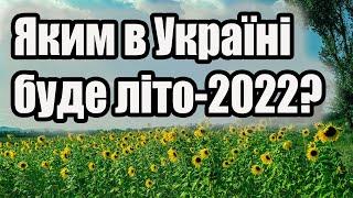 Яким в Україні буде літо 2024: прогноз синоптика до кінця серпня Прогноз погоди на літо 2024