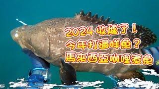 【漁人推介】香港水域 2024日潛收季了，香港有咩魚打？，星鱸｜紅鼓鱸有什麼食法？，Catch and Cook Seafood Recipe Malaysian Curry Fish