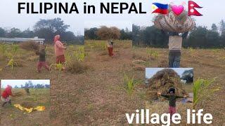 FILIPINA in NEPAL life in the village || Sa Wakas Natapos Din || Antay Nalang Nang tractor 