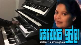 සෙනෙහස ඉල්ලා  | Malani Bulathsinhala | මාලනී බුලත්සිංහල | Senehasa Illa Liyathambara Langa