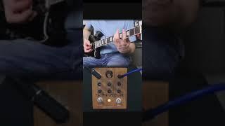 Flip Out Fuzz Demo by SRguitar