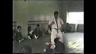 Kyokushin vs Taikiken. Shokei Matsui vs Machio Shimada