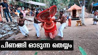 Theyyam | Kannur theyyam | തെയ്യം |Pothi theyyam | പോതി