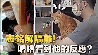 【黃阿瑪的後宮生活】志銘解隔離回宮！嚕嚕的反應很驚人！