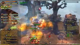 Tree Of Savior (똥나무 수녀원)