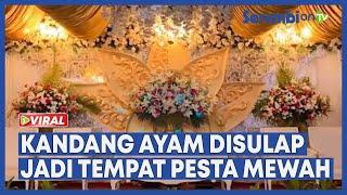 Viral Kandang Ayam Disulap Jadi Tempat Pesta Pernikahan yang Mewah, Banyak Netizen Kagum