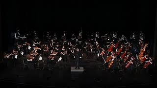 LVA ORCHESTRA - Philharmonic Orchestra - Spring Concert