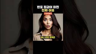 [쇼츠] 반포 집값이 미친 진짜 이유 #부동산