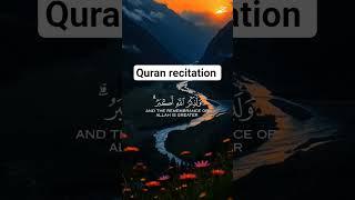 heart Touching Quran Recitation|#quran #quranicblessings #islamicrecitation #quranrecitation