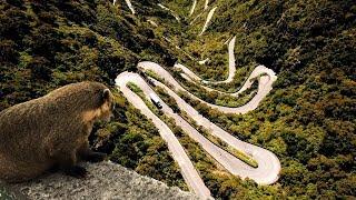 LA CARRETERA MÁS SINUOSA Y ESCALOFRIANTE AL SUR DE BRASIL