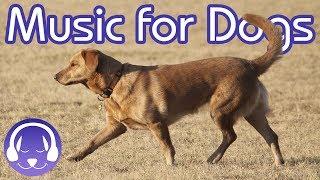 15 Hours of Classical Music for Dogs - Help your Dog Sleep FAST! (2019)