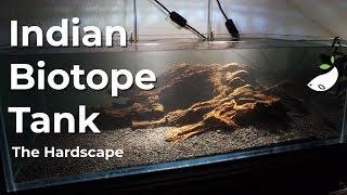 Scaping the Dirted Indian Biotope Tank - Part 1