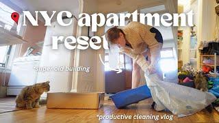 Organizing & deep cleaning my NYC apartment *with cats*. A vlog.