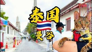 [二丫在欧洲]亚洲篇#曼谷#泰国#THAILAND#BANGKOK#2024#二丫私人定制游#度假胜地#旅游#自由行#二丫在欧洲#环游世界的猫#环游欧洲的猫