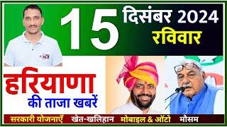 15 December 2024 Haryana News || हरियाणा की ताजा खबरें || Haryana Live News || CWB Hindi News