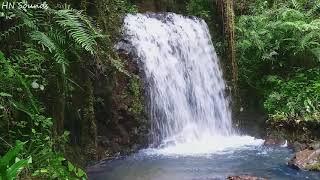 Relaxing Waterfall Sounds in the Andes Mountain Range, Harmonious Birds Chirping