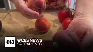 Deals on avocados, onions, peaches and tomatoes | Lunch Break