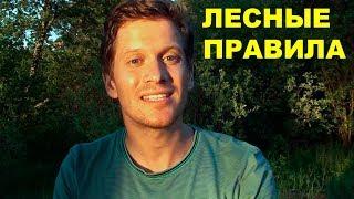 Правила поведения в лесу