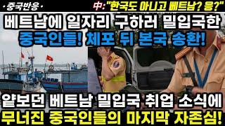 |중국반응| 베트남에 일자리 구하러 밀입국까지 한 중국인들! 체포 뒤 본국 송환! 얕봤던 베트남 밀입국 취업 소식에 무너진 마지막 자존심!