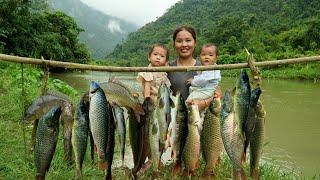 how to catch fish fish trap two days and a rainy night with children - cooking with children