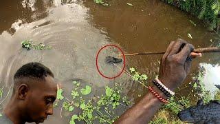 Wild Life Hunting Gator Hun With Spare (Beze Hunting)