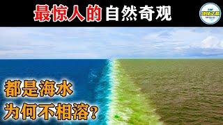 大西洋和太平洋为何互不相溶？10个最震撼的自然奇观！你看过几个？丨地球之最#冷知识 #排名 #世界之最#地球#自然#地理#奇观#世界之最top#top10#合恩角#海水分界线