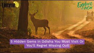 5 Hidden Gems in Odisha You Must Visit Or You'll Regret Missing Out! | LEMME Explore The New |