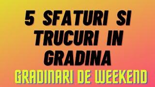 5 sfaturi si trucuri practice pentru gradinarii incepatori