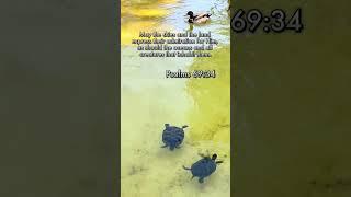 Psalms 69:34 Praise from All Creation