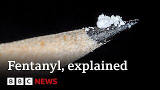 Fentanyl: Why are so many Americans dying from synthetic opioids? - BBC News