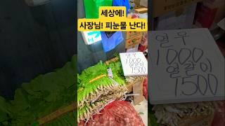 사장님! 피눈물 난다! 미치갰네! #시장 #폭락 #food #먹방 #먹고리 #할인