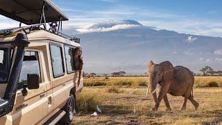 Is Amboseli Kenya Worth Visiting? (Honest Opinions)