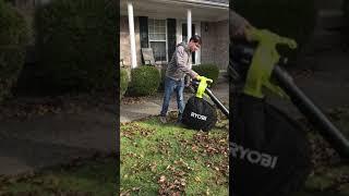 Leaf vacuum