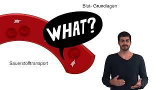 Blut   Grundlagen clipdocs.de